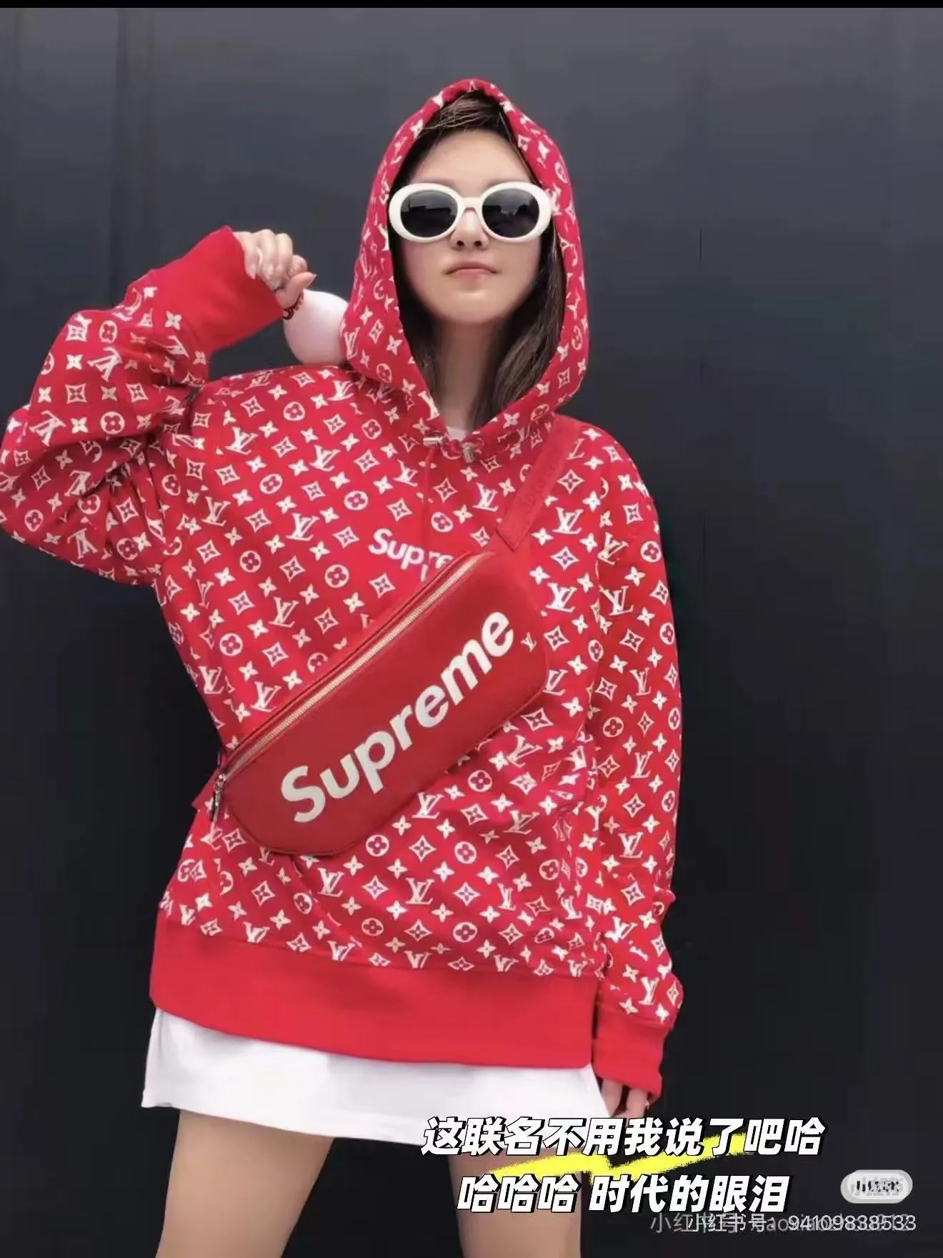 Louis vuitton x Supreme Classic